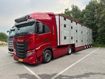 Pezzaioli cattle trailer