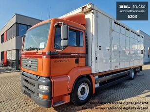 camion bétaillère MAN TGA 18.350 4x2 LL 2 Stock