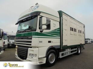camion chevaux DAF XF 105.460 + Horse truck + Lift + Euro 5